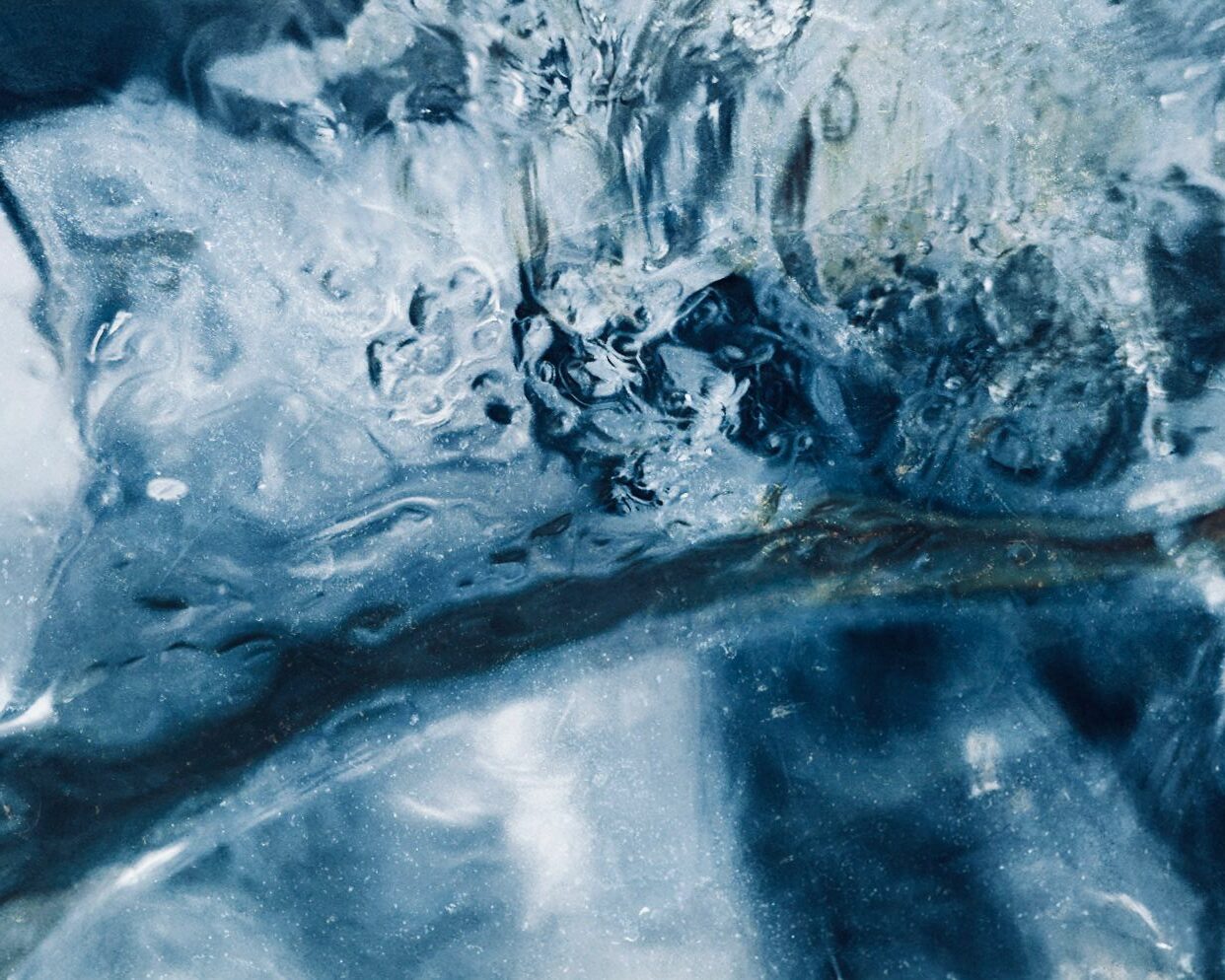 Architettura olfattiva